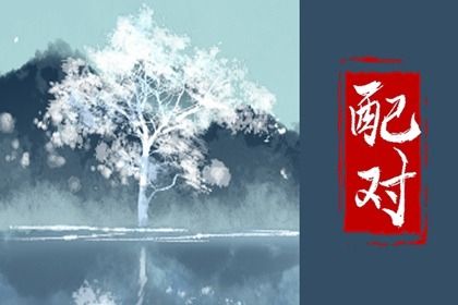 本页适合单独看吗